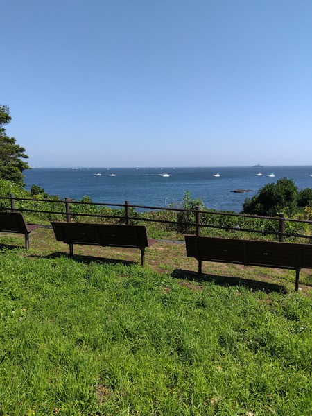 砲台上のベンチから東京湾が見えます